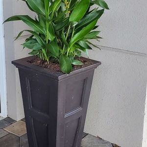 Meet your Posher, Diana